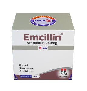 Emcillin Capsules 10*10 -image